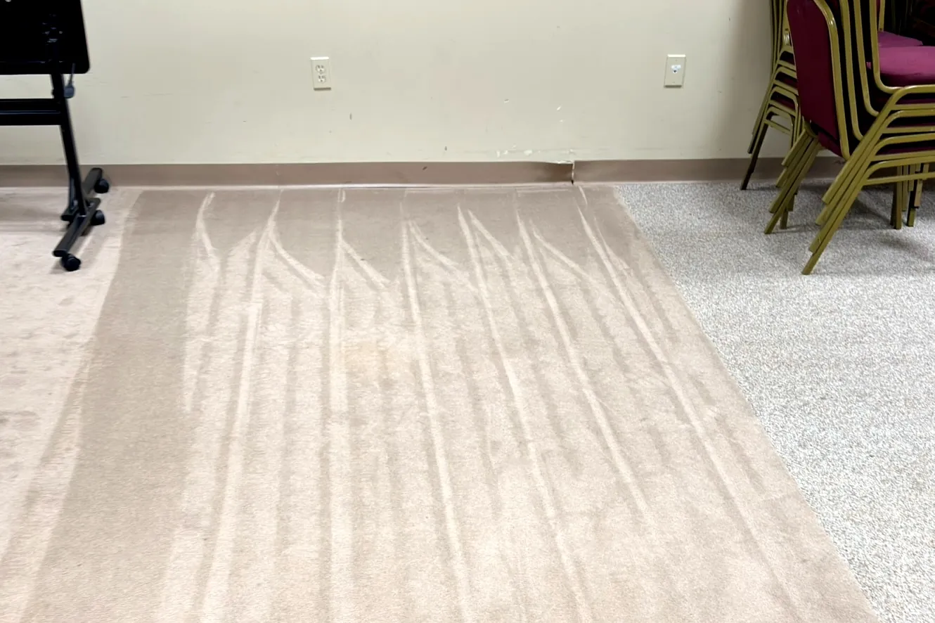 Freshly extracted carpet showing the wand strokes still visible in the pile, beside untouched carpet